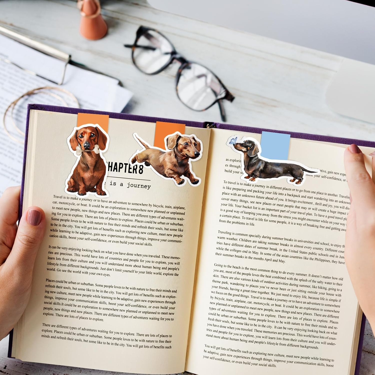 Marcadores magnéticos à prova  - Bookmark Magnetic Clip avaliação e preço